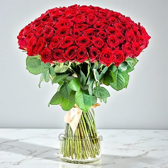 100 Red Roses Vase