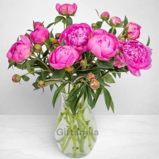 Awesome Pink Peony Vase