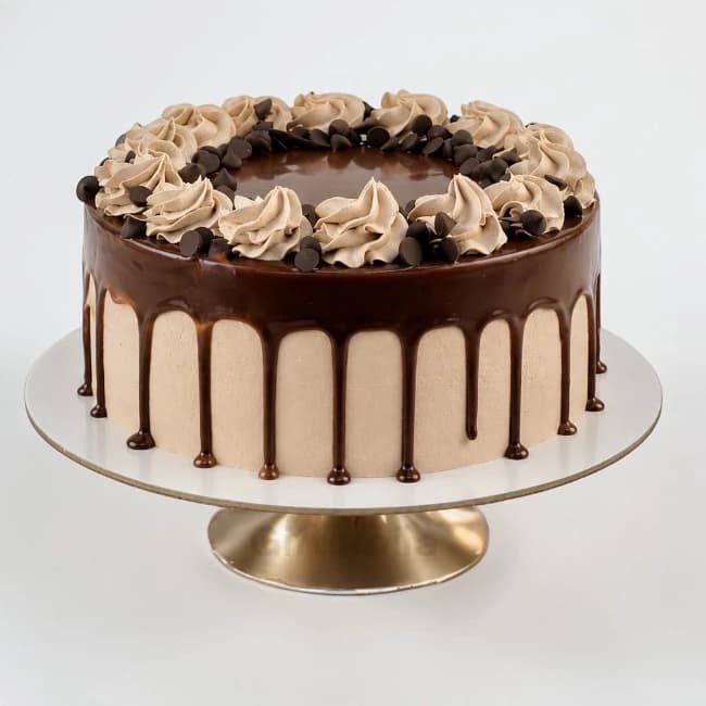 Chocolate Chips cake