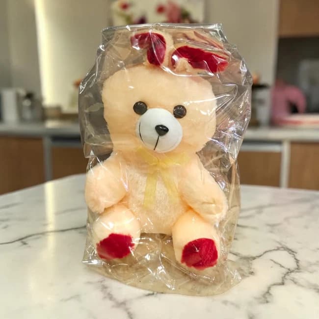Cute Teddy Bear