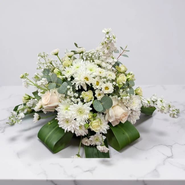 Elegant White