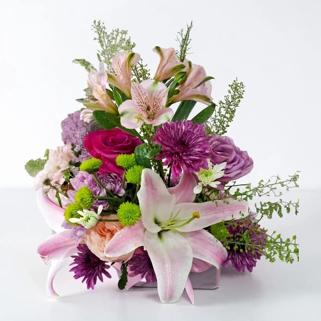 Enchanted Lilies