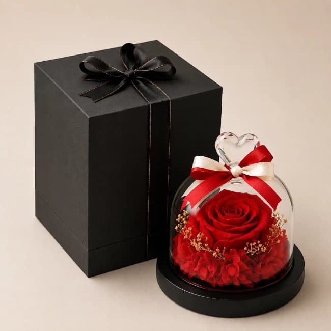 Forever Red Rose