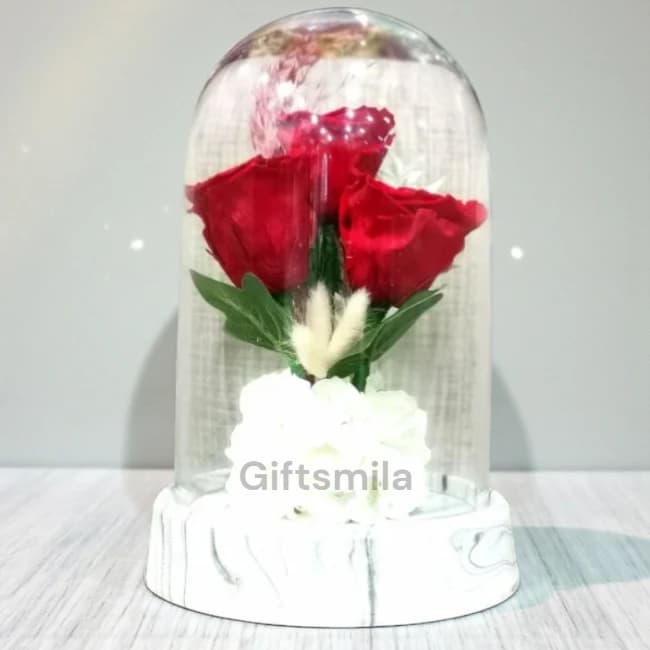 Forever Red Roses 