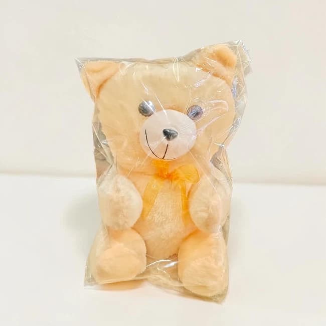 Light Cream Teddy Bear