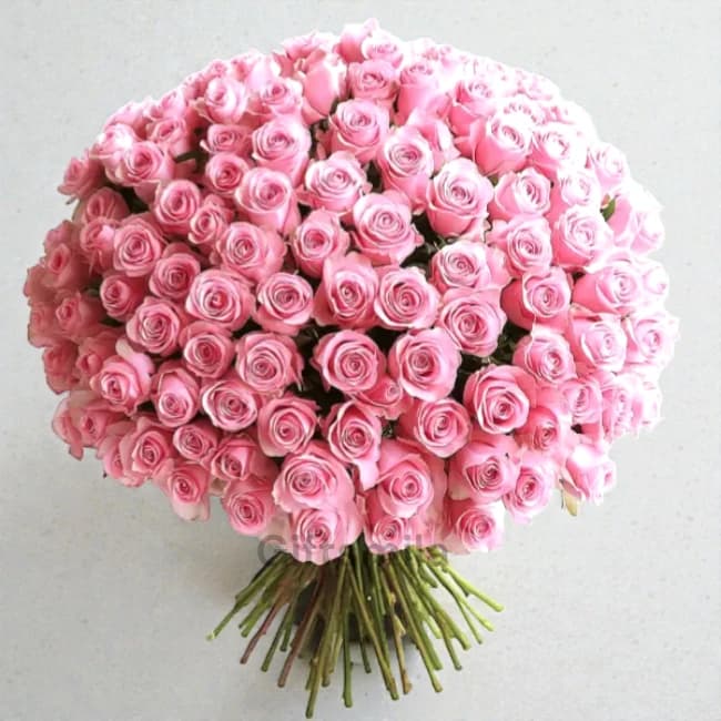 Luxury Pink Roses