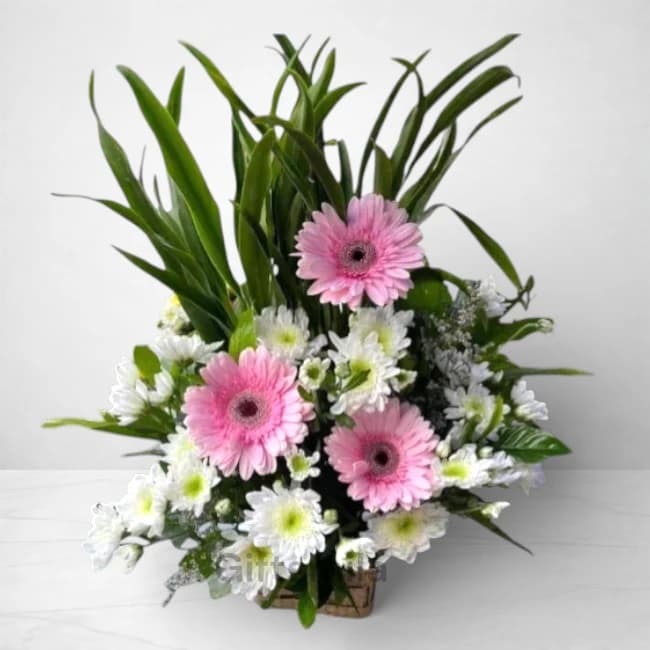 Mixed Floral Box