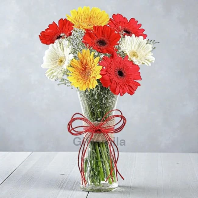 Mixed Gerberas Vase