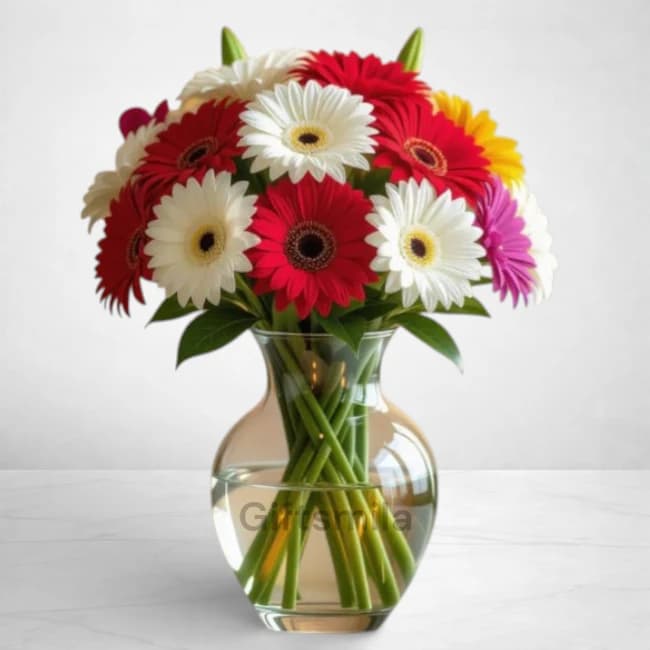 Mixed Gerberas Vase