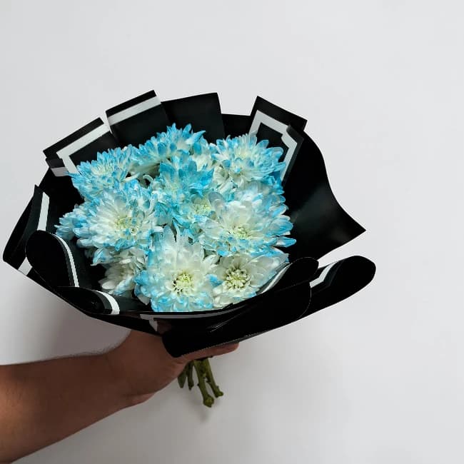 Morifoli Blue In Black