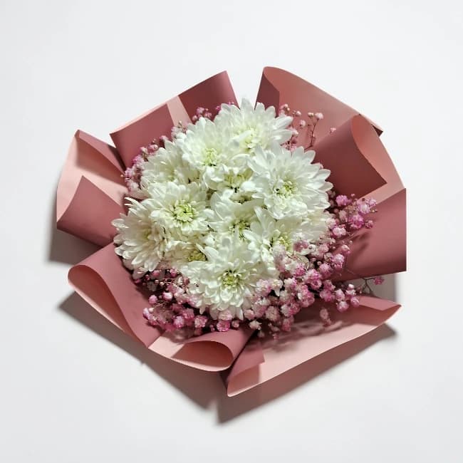 Morifoli White In Pink