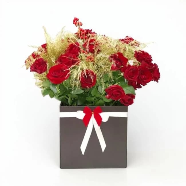 Nisha Red Box 
