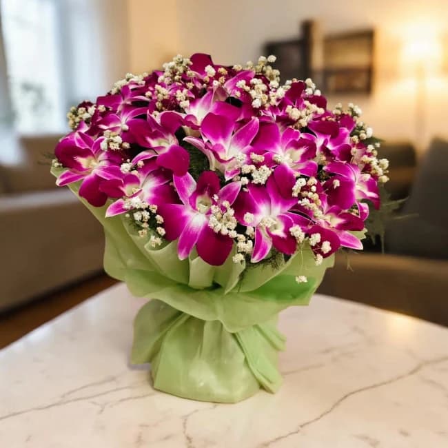 Pink Dendrobium Orchid