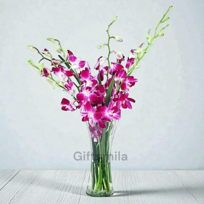 Purple Orchid Vase