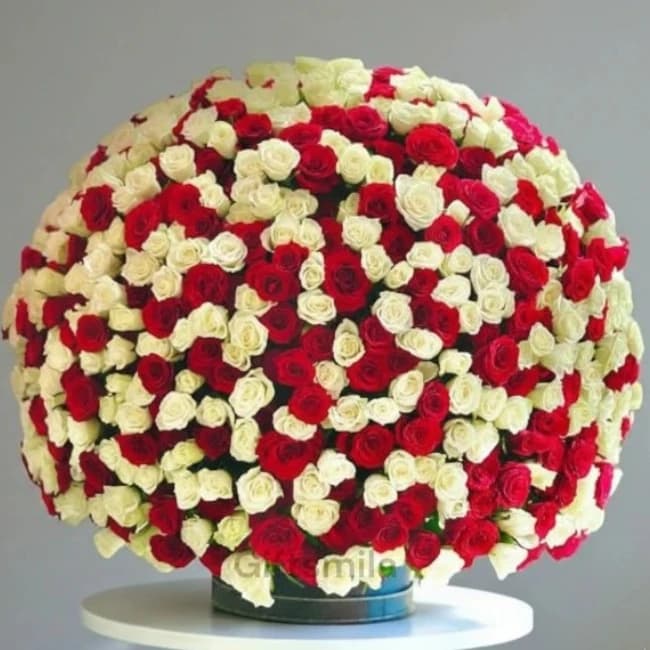 Roses VIP Arrangement
