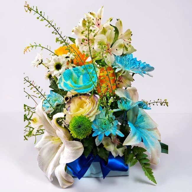 Sapphire Lilies