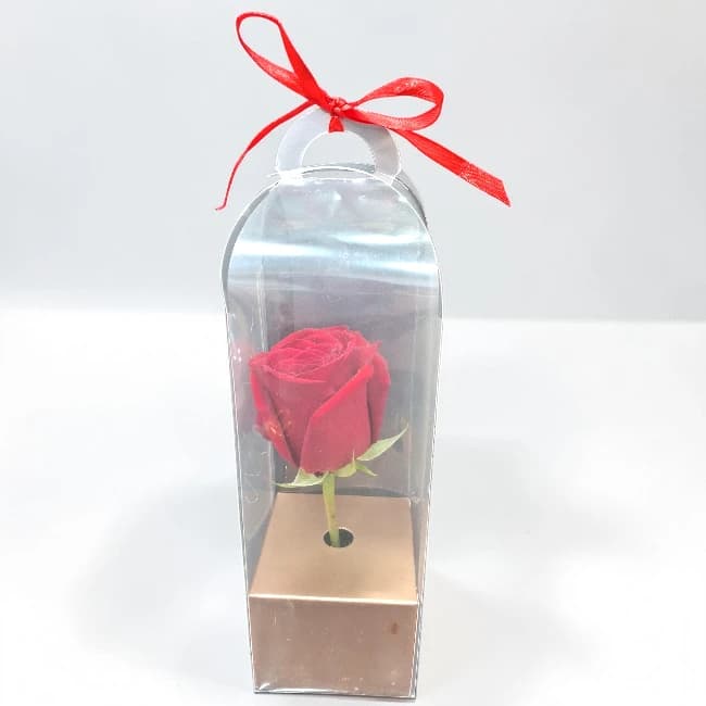Secret Love Rose