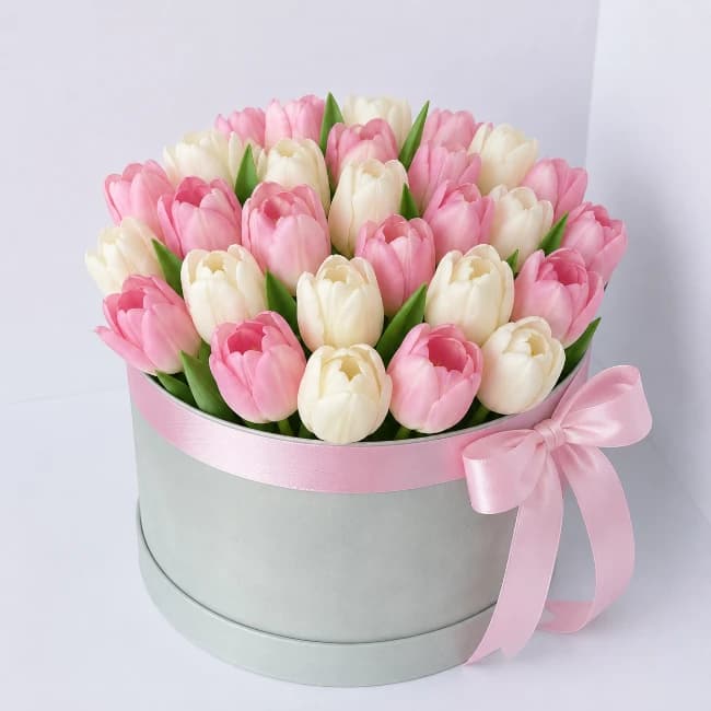 Tulips Box