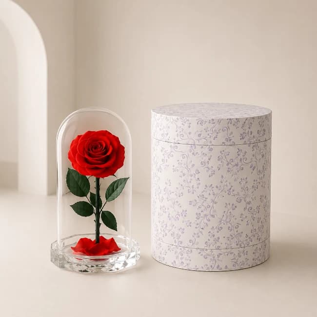 Valentine Forever Rose