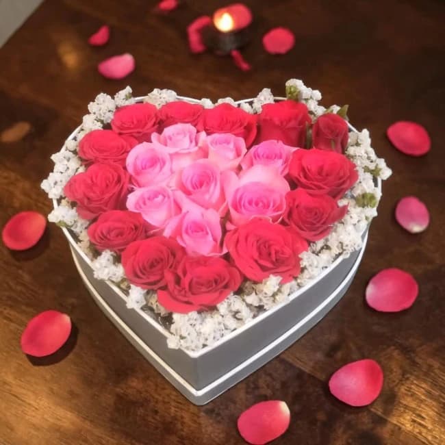 Valentine Hearts