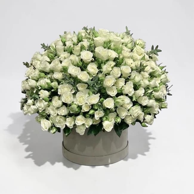 White Baby Roses Box