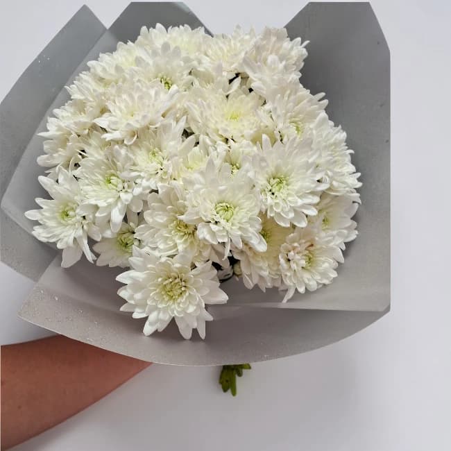 White Chrysanthemum Bunch