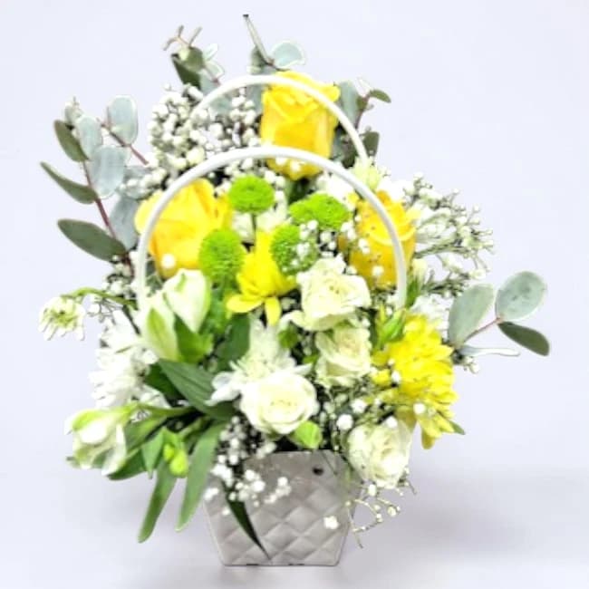 Yellow & White Petals Pack