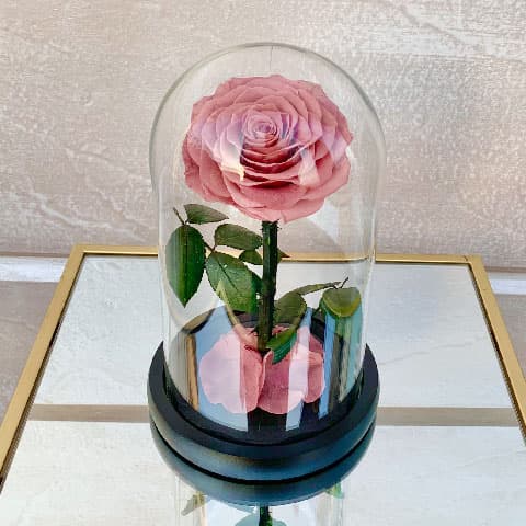 Beautiful Lady Forever Rose