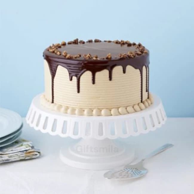 Peanut Chocolate Cake