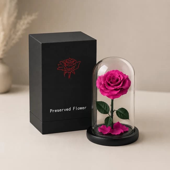 Purple Forever Rose