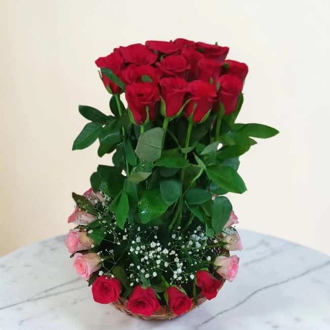 Roses Happiness
